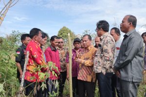 Pemkab Dairi Terima Tanah Hibah 1,5 Hektar dari Keturunan M Taksir Ujung