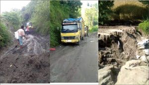 Loader Pemkab Rusak, Jagung Tanah Pinem Mulai Membusuk