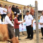 Jelang Idul Adha, Pemkab Dairi Terima Sapi Kurban dari Presiden RI