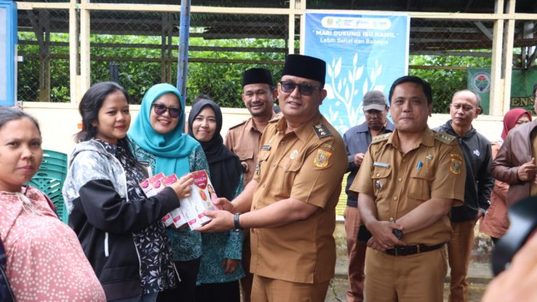 Gerakan Bumil Sehat Dan Semua Cinta Lansia Desa Lae Nuaha