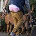 Mentang2 Istrimu, Suka2mu Pake CDnya