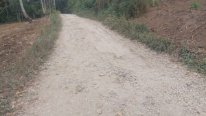  Bupati Vickner Tolong Perhatikan Jalan Ke Lau Mil