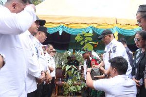 Bupati Dairi Penanaman 5000 Pohon di Desa Karing