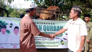 Wakil Bupati Dairi Serahkan Bantuan Sapi Dari Presiden Prabowo